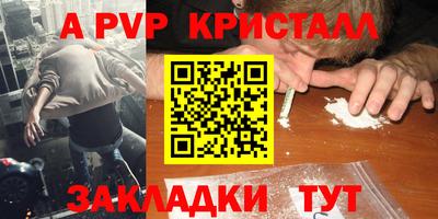 крисы Гай