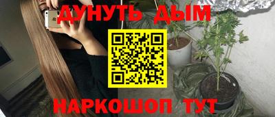 крисы Гай