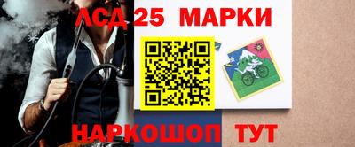 крисы Гай