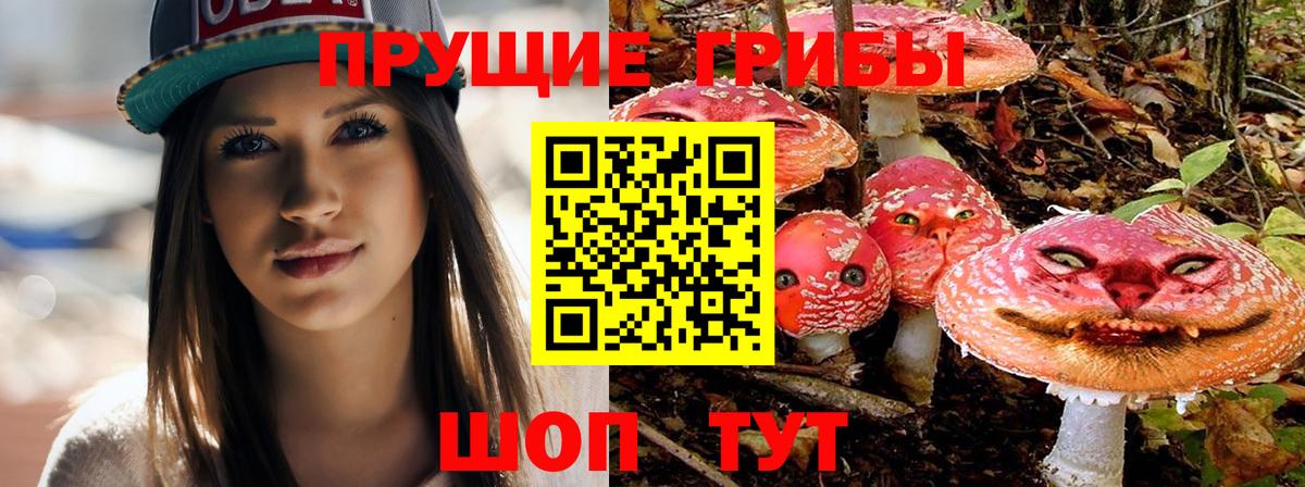 Галлюциногенные грибы ЛСД Новоуральск