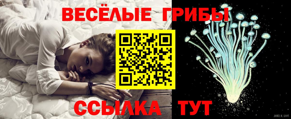Галлюциногенные грибы Cubensis  Галлюциногенные грибы GOLDEN TEACHER  Вход с VPN  Новоуральск 